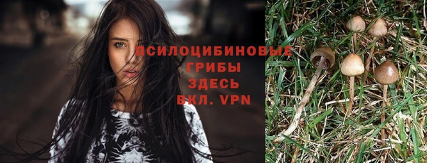 дживик Дмитриев