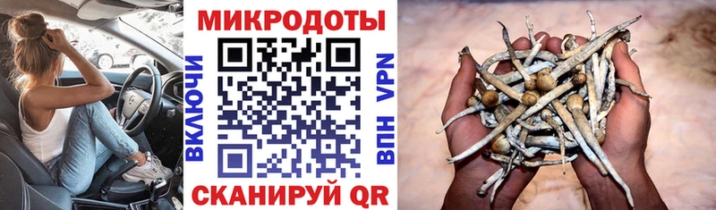 Галлюциногенные грибы прущие грибы  где можно купить наркотик  Зерноград 