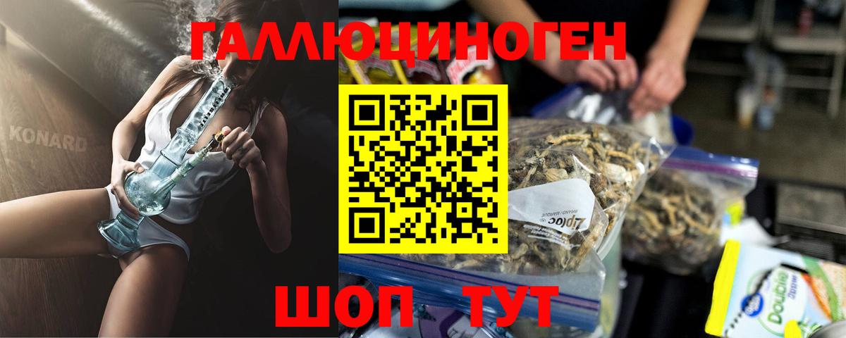 Псилоцибиновые грибы GOLDEN TEACHER Зерноград
